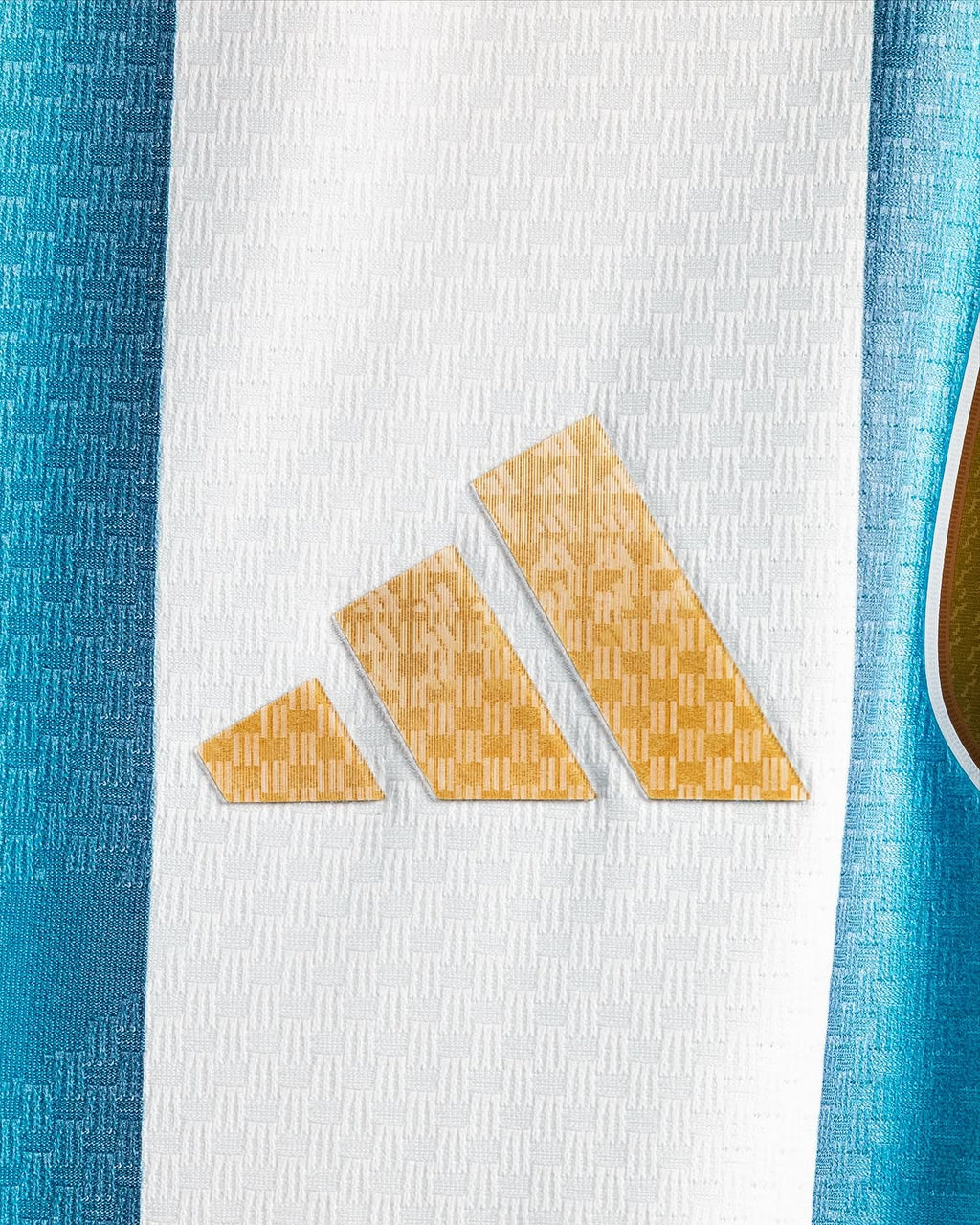 Argentina Home - Player Version