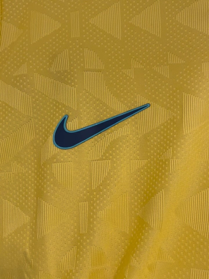 Brazil home - player version