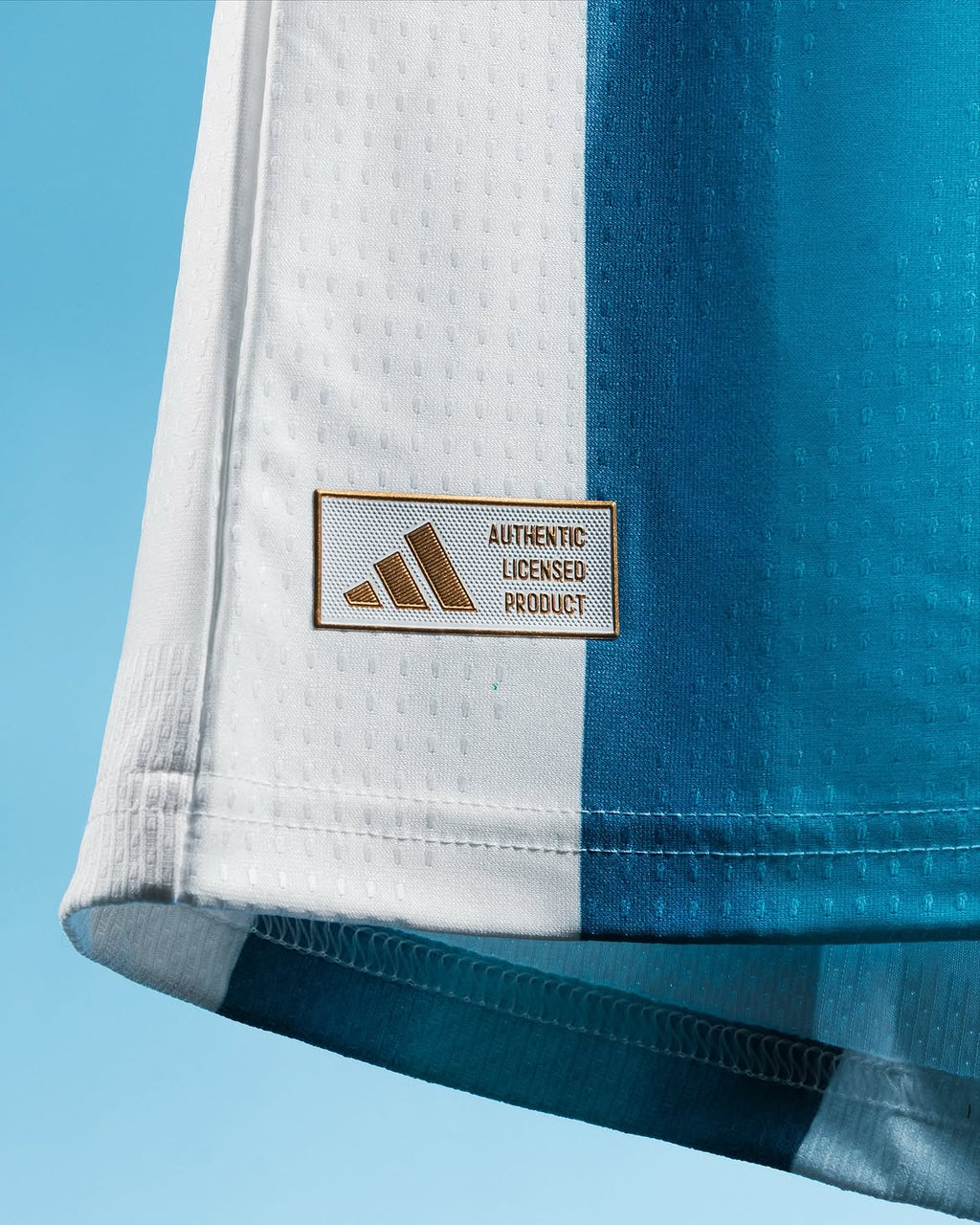 Argentina Home - Player Version